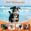 GPS Wireless Dog Fence System Collar 2 Modes 1 Pack No Monthly Fee for Dogs