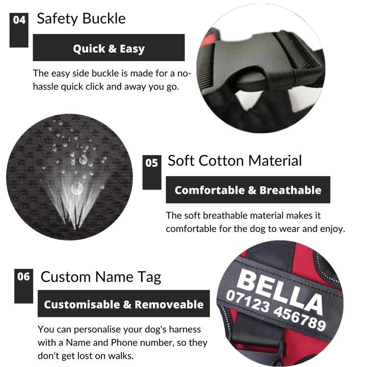 Lifetime Warranty Personalized Pawvani™ NO PULL Harness