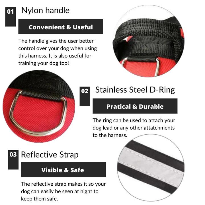 Lifetime Warranty Personalized Pawvani™ NO PULL Harness