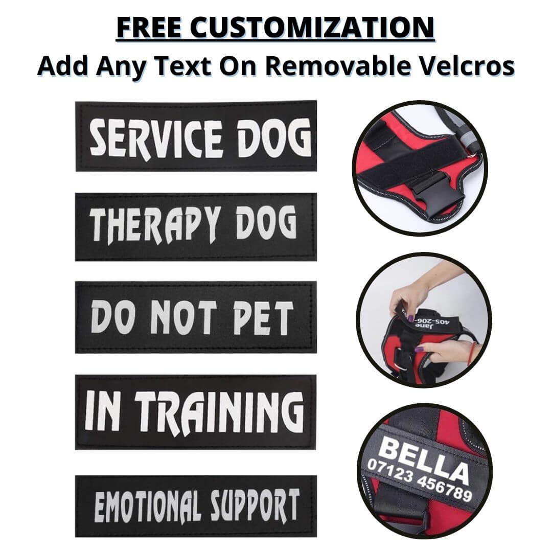Lifetime Warranty Personalized Pawvani™ NO PULL Harness