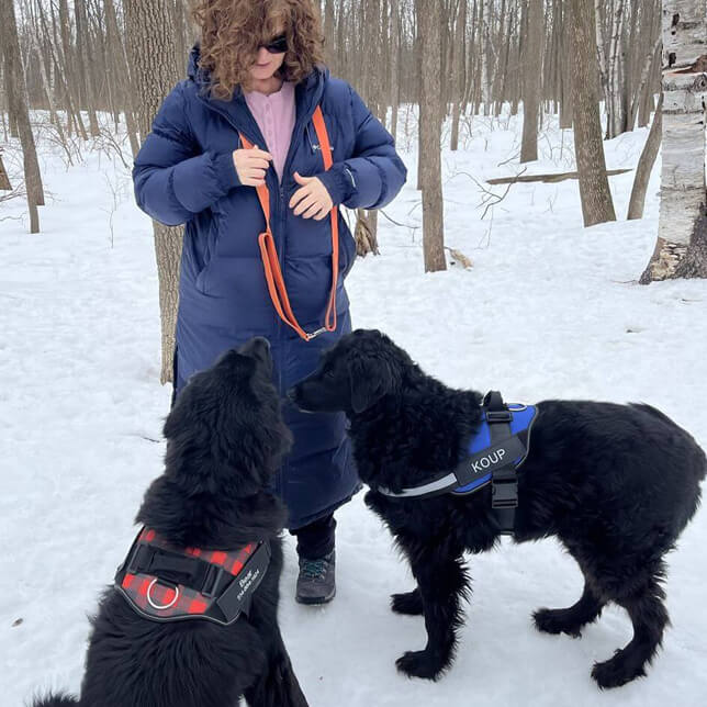 Lifetime Warranty Personalized Pawvani™ NO PULL Harness