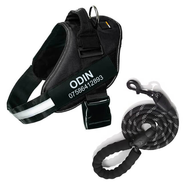 Lifetime Warranty Personalized Pawvani™ NO PULL Harness