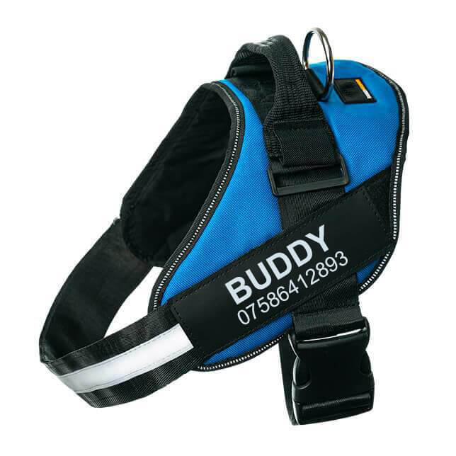 Lifetime Warranty Personalized Pawvani™ NO PULL Harness