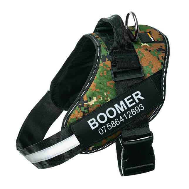 Lifetime Warranty Personalized Pawvani™ NO PULL Harness