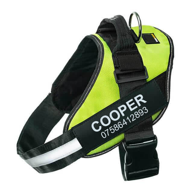 Lifetime Warranty Personalized Pawvani™ NO PULL Harness