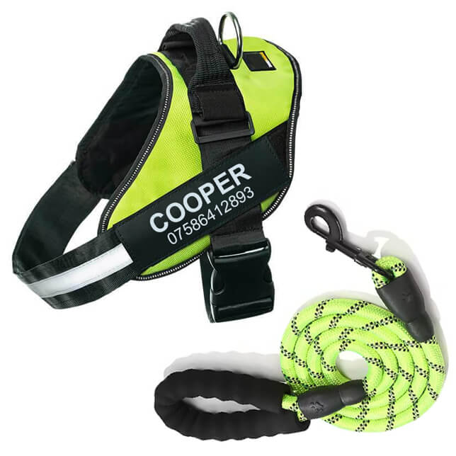 Lifetime Warranty Personalized Pawvani™ NO PULL Harness
