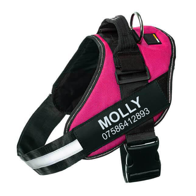 Lifetime Warranty Personalized Pawvani™ NO PULL Harness