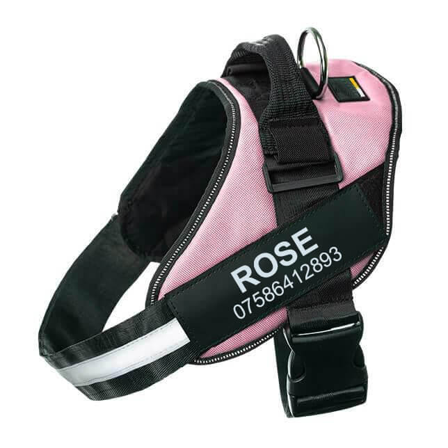Lifetime Warranty Personalized Pawvani™ NO PULL Harness