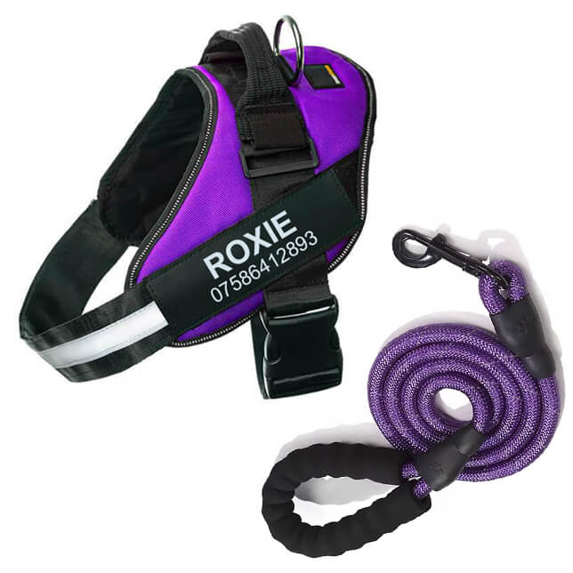 Lifetime Warranty Personalized Pawvani™ NO PULL Harness