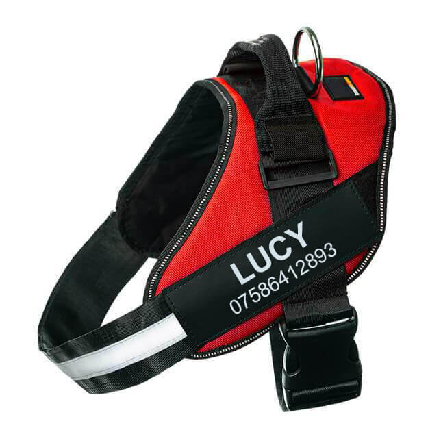Lifetime Warranty Personalized Pawvani™ NO PULL Harness