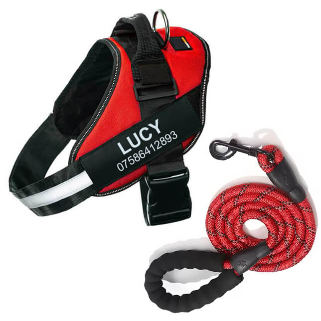 Lifetime Warranty Personalized Pawvani™ NO PULL Harness