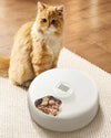 Pawvani Automatic Pet Food Dispenser – Modern & Smart Design