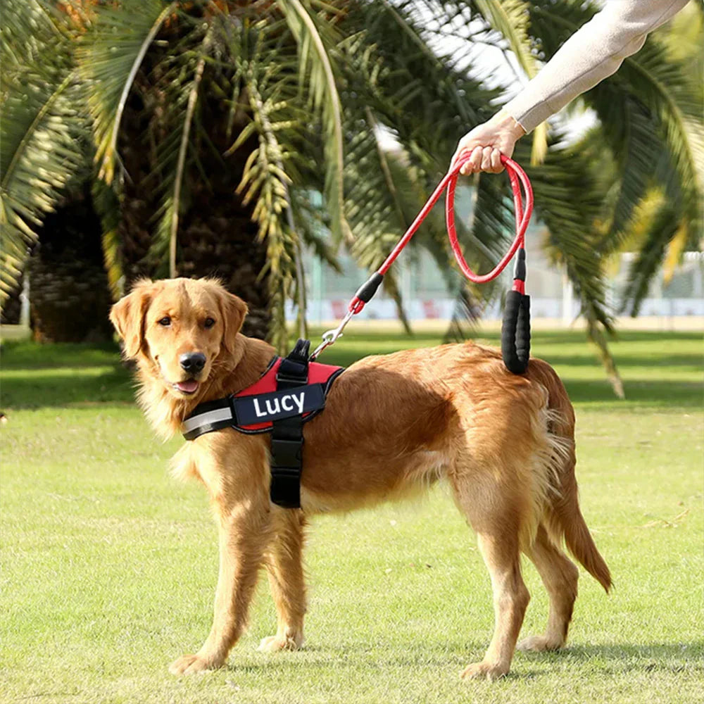 Pawvani™ Strong Reflective Dog Leash