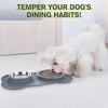 Slow Feeder Dog Bowls to Slow down Eating, Dog Slow Feeder Bowl