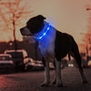 Led Dog Collar - Rechargeable, Water-Resistant, Flashing, Glowing Night Walking Collar