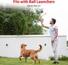 Squeaky Dog Tennis Balls, 3 Pack Elastic Interactive Toy for Dogs