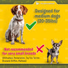Exquisite Hands-Free Leash for Medium Dogs: Ultimate Comfort & Freedom for Running, Walking, Hiking. Premium Quality, Durable & Versatile Waist Dog Leash Belt. Your Dog Will Love It