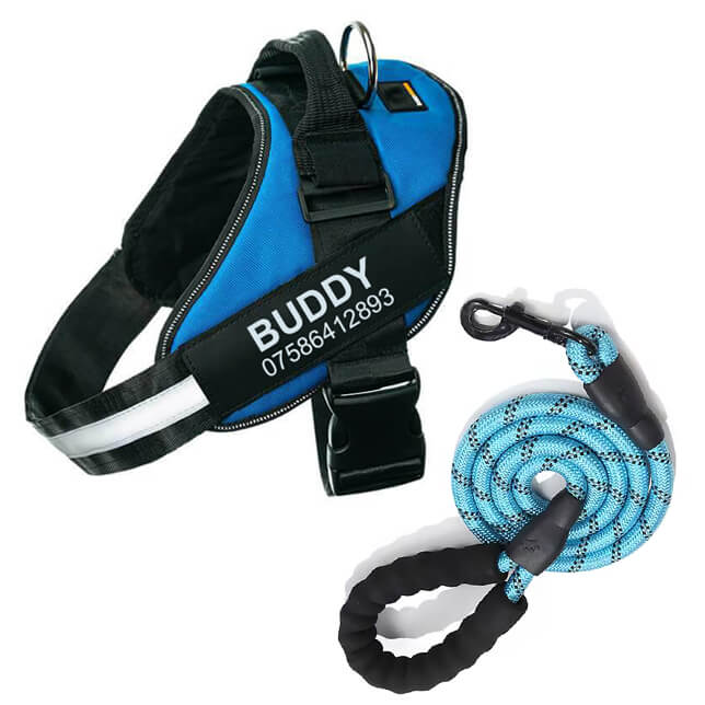 Lifetime Warranty Personalized Pawvani™ NO PULL Harness