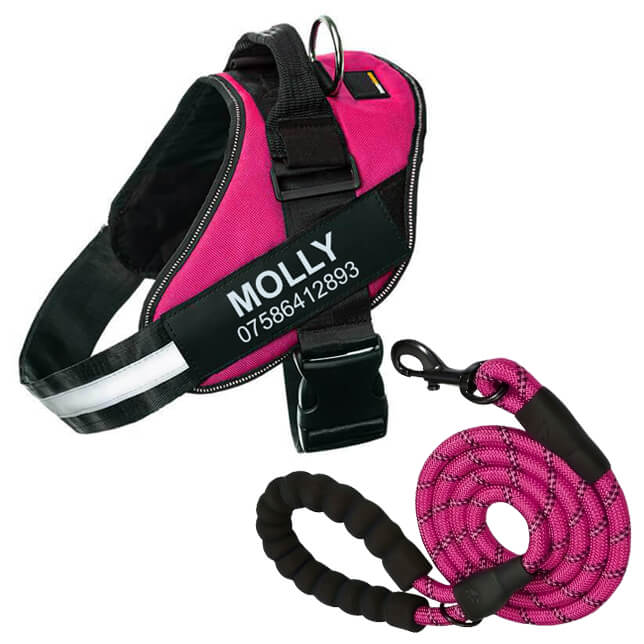 Lifetime Warranty Personalized Pawvani™ NO PULL Harness