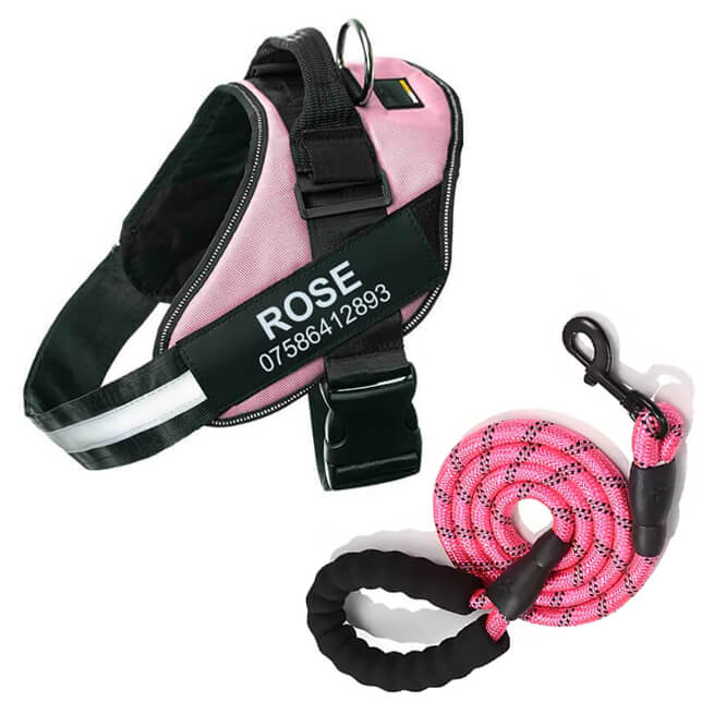 Lifetime Warranty Personalized Pawvani™ NO PULL Harness
