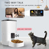 6L Automatic Pet Feeder with Camera & App Control for Cats and Dogs