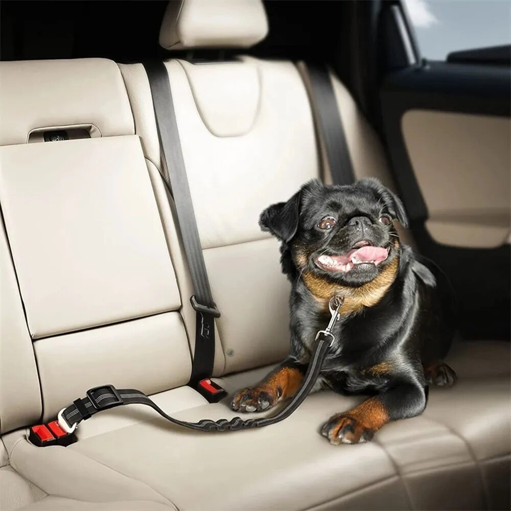 Pawvani™ Safety Seat Belt For Dogs